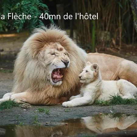 Hotel Hotel-restaurant Ricordeau 3*