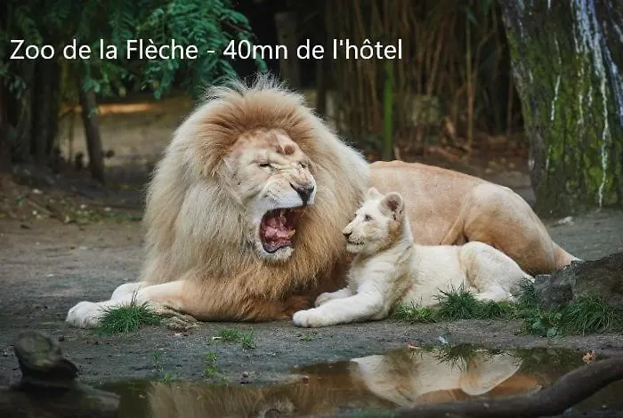 Hotel Hotel-restaurant Ricordeau 3*