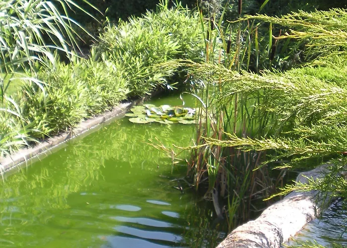 Hotel-restaurant Ricordeau